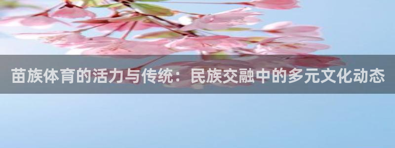 杏鑫凯捷平台
