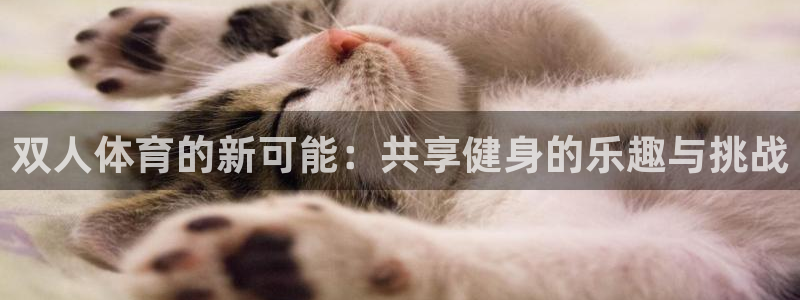 杏鑫集团股票