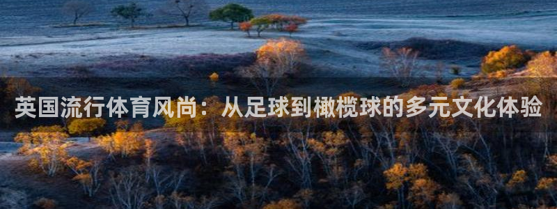 杏鑫凯捷开号链接