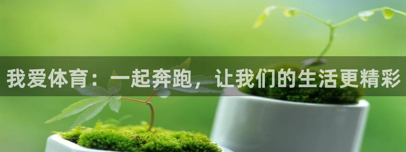 杏鑫零能源集团