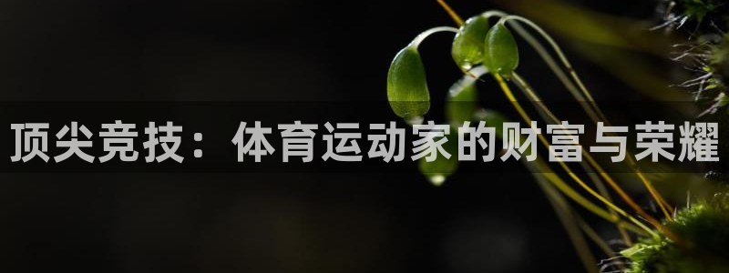 杏鑫3注册