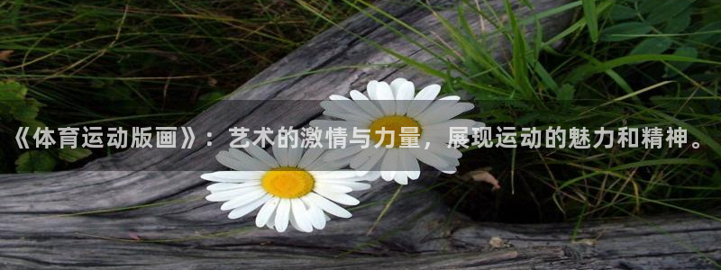 杏鑫体育2官网入口