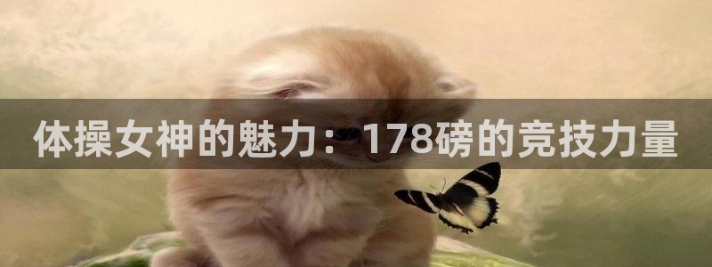 杏鑫凯捷平台