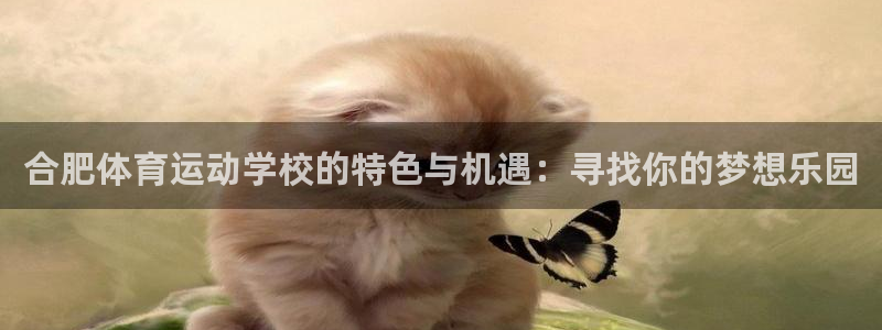 杏鑫登录