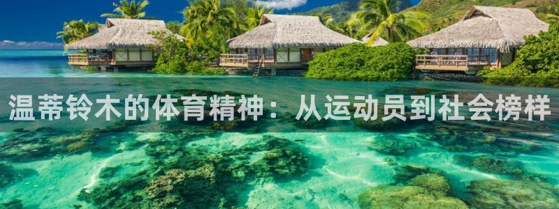 杏鑫3登陆
