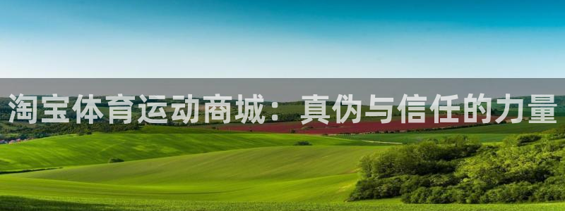 www.杏鑫体育.com