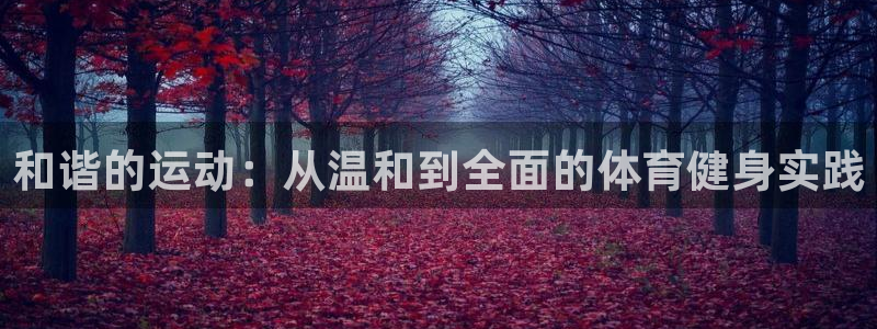 杏鑫3注册