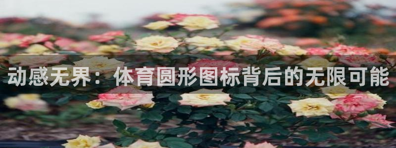杏鑫凯捷开号链接