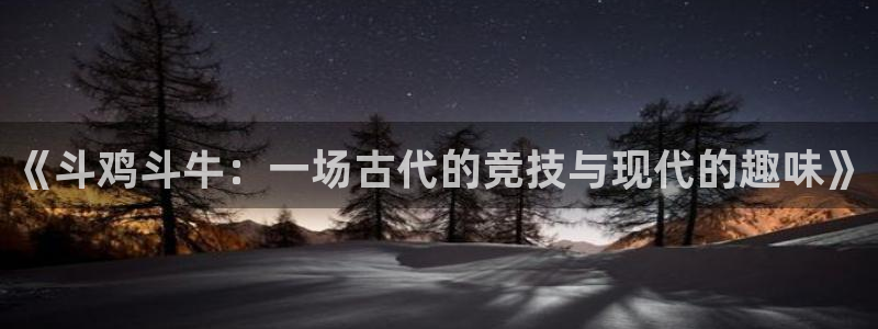 杏鑫体育app下载