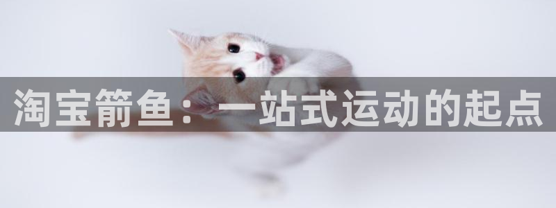杏鑫3