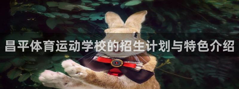 杏鑫体育注册平台