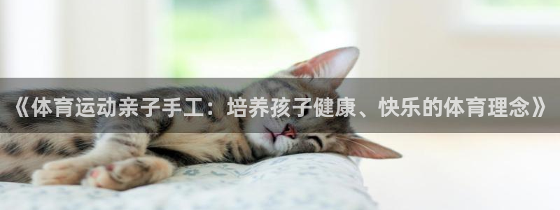 杏鑫体育4